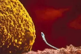 40岁才想生二胎，日后生活会如何？过来人：最难的并非身体问题图片