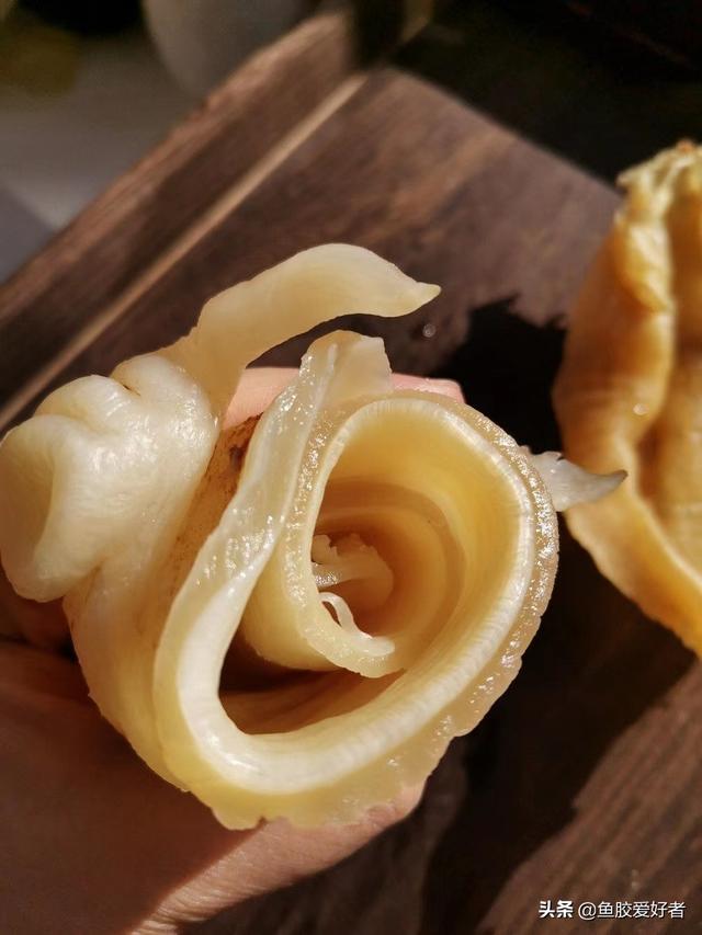 北海鱼胶的营养价值及功效 2026年北海鱼胶的功效及吃法