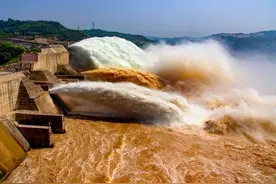 黄河小浪底排沙，惊现许多无头大鱼，头去哪里了？图片