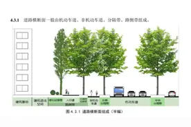 编制者详解北京首部“步行和自行车交通规划”标准 行人、自行车路权优先图片