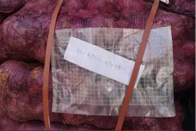 送前男友一吨洋葱还有后续，新闻还冲上了美国reddit热议榜单图片