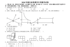2020年湖北省孝感市中考数学试卷与解析图片