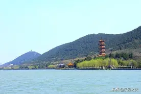 一条鱼价值上万块，云龙湖再出176斤青鱼，为什么这么贵？图片