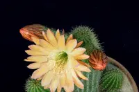 人与人太熟，就知道刀捅在哪里最痛！句句醒人图片