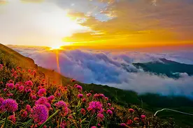 贵州人口第一大市，常住人口约690万，气候好风景美可养老图片