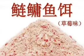 想不到鲢鳙饵可以这样用？挖掘它的广谱性，啥鱼都能钓，长见识了图片