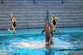 被誉为“滨城”的大连有什么好玩的？老虎滩、金石滩、棒棰岛图片