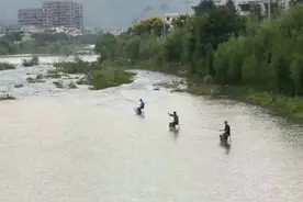 鲫鱼为什么多刺？鲫鱼成精调戏貂蝉，关公一怒为红颜种刺满鱼身图片