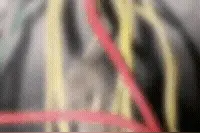 人生如戏，生如鼠蚁，当立鸿鹄之志，打通任督二脉，即刻飞升成仙图片