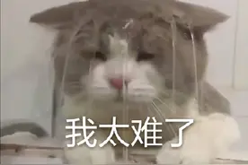 工薪族在加拿大必须买房！否则就准备老了流离失所吧图片