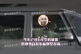 64岁葛优儿子疑曝光？知情人称其3岁刚回国，孩子正脸肉嘟嘟超萌图片