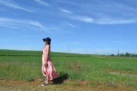 不负如来不负卿图片