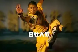 少林秘传——铁拳功图片