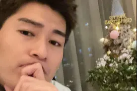 明星过平安夜：张翰金晨晒自拍，蔡少芬晒娃，刘涛是在搞笑吗？图片