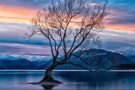 散文：回首往事如烟，人生如梦随风图片