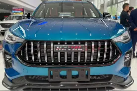 全新哈弗赤兔到店，运动元素爆棚，标配弹射起步，四轮独悬诚意足图片