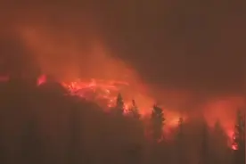 美国加州一县山火由胎儿性别揭秘派对引发 涉事者恐被追责