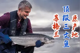 威士忌天堂苏格兰：世界顶级三文鱼原产地！视频封面