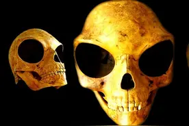 古代奇异人种揭秘（十三）：西兰头骨与“飞马座之光”图片