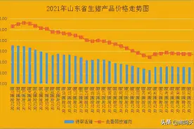 第33周 山东省畜产品市场 猪市反弹可期 蛋价仍存上涨动力 活鸡价格向上发力 牛羊肉高位回落 生鲜乳价格走高图片