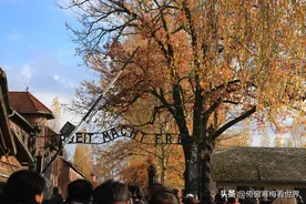 奥斯维辛集中营，不亲历现场永远无法想象人性会堕落至此图片