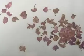 学生心目中的优秀老师（3）图片