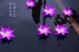 中元节给父亲敬杯酒图片