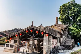 广东有棵400年榕树，经受1300度高温越长越茂盛，被称神树图片