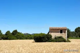 注意看好了，这6种情况，国家有权将土地直接收回图片