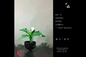 岁月述怀～清泉插花作品图片