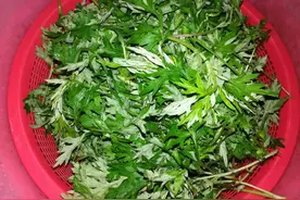 建莉姐姐~纯手工艾糍粑粑！图片