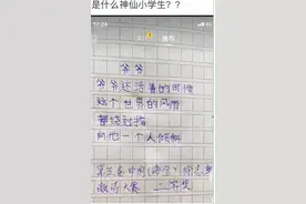 小学生惊艳诗句再度爆红，网友：高考作文也写不出这种“金句”图片