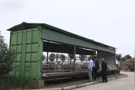 养羊7年，自创养殖新模式，年销售达2亿多元，这种模式你敢干吗？图片