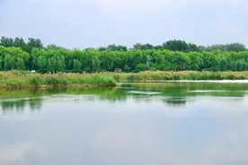 泄洪了！看看顺义潮白河水位涨了不少图片