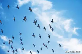 贵州父母给8岁女儿定娃娃亲，长大后两人见面，一见钟情好事成双图片