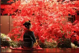 日本花魁：见一面要一掷千金，28岁就需要退休图片