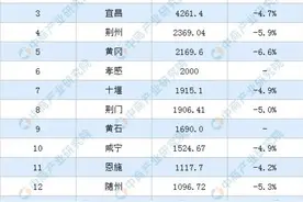 谁将是湖北第四城？图片