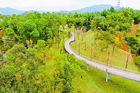 珠海：山地步道明年全部建成，“三旧”改造成绩喜人图片