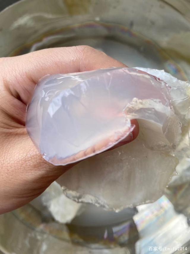 牛奶加水炖花胶不凝固 2026年牛奶加水炖花胶不凝固的原因