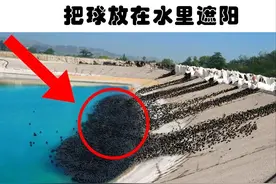听起来很愚蠢，但实际上的确可行的6个奇怪想法图片