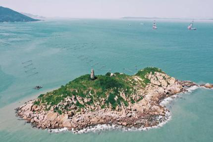 假花胶能吃吗 2026年假花胶能吃吗有营养吗