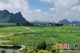 螺蛳粉小镇的"蝶变"——柳南区全域土地综合整治助推产业发展巡礼图片