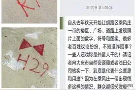 大庆路面街边现奇怪符号 盼专业人士为市民解惑图片