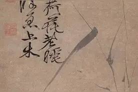 荷花的“出淤泥而不染，濯清涟而不妖”你喜欢哪种风格图片