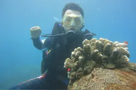 三亚亚龙湾潜水是什么体验？30分钟收费1000，只看到一条鱼图片