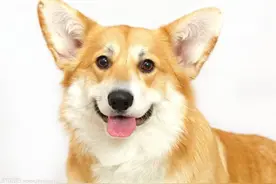 通过接吻，看男人的性格和感情态度图片