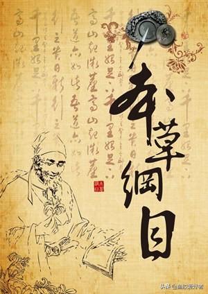 小鱼胶是不是花胶 2026年小鱼胶是不是花胶呢