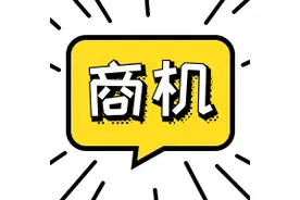 韩国出口全自动鸡蛋高速分拣设备图片