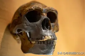 神秘的祖先曾经与远古人类交配，“他”的“嵌套”DNA刚刚被发现图片