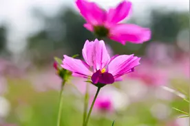 真正在乎你的人，会用这四种方式回你微信图片